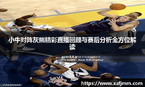 小牛对阵灰熊精彩直播回顾与赛后分析全方位解读