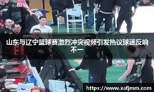 山东与辽宁篮球赛激烈冲突视频引发热议球迷反响不一
